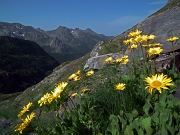 MONTE AGA (2720 m.) , salito dal versante nord, sceso da quello sud , il 1 luglio 2012 - FOTOGALLERY